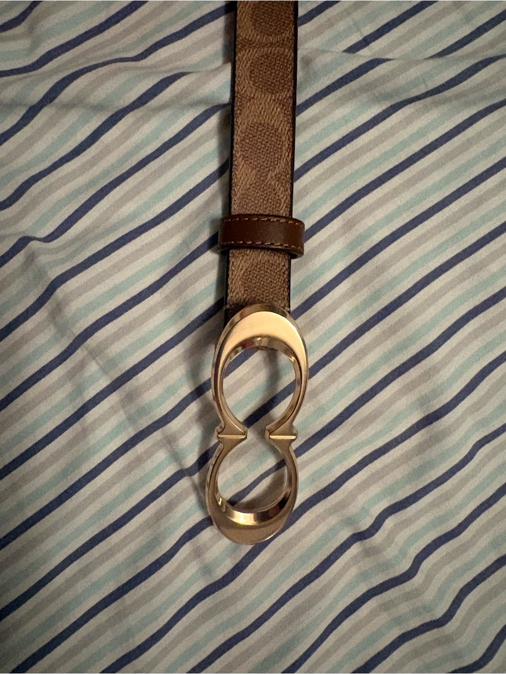 Brown Leather Strap Belt with Polished Gold-Tone Buckle